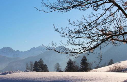 Landhaus Albrecht - Foto 43
