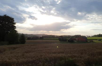 FeWo Harling - Waldoase - Foto 22