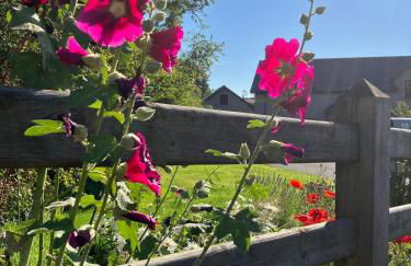 Tate's Meadow - Foto 20