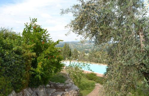 Tenuta Pizzogallo - Foto 56