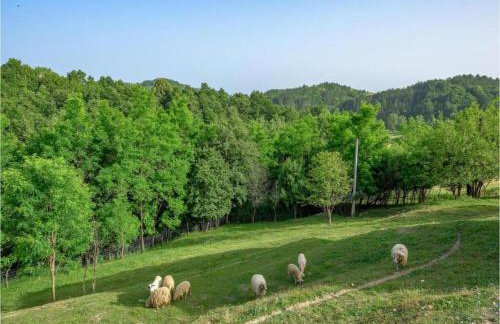 Charming Stay in Sveti Križ - Foto 38