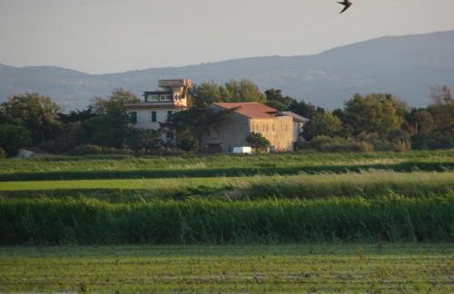 Domaine du Petit Tournebelle - Foto 17