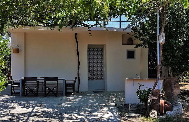 Farm House in Bio Orange Plantation - Foto 9