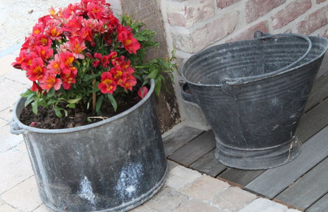 Wonderful Country House With Huge Garden - Photo 34