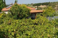 Guesthouse Agia Triada - Foto 27