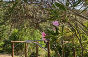 L'Etang Des Cigales - Foto 54