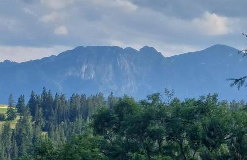 Dom Tatrzański Widok - Foto 48