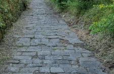 Casa Cipressino - Foto 55