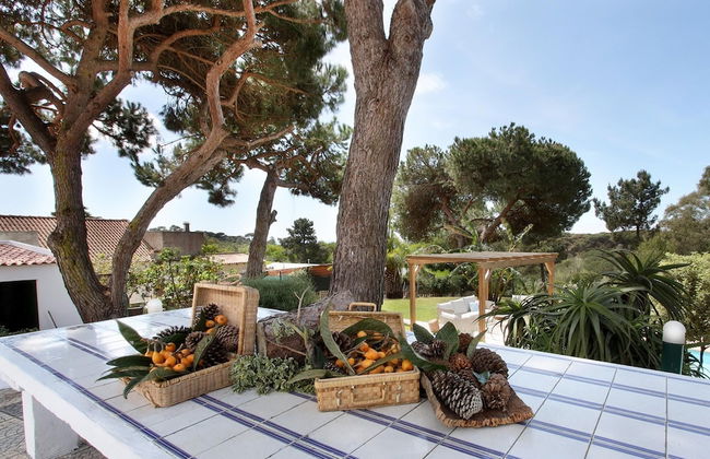 Farm on the Beach sea View 2 Steps From Lisbon - Foto 32