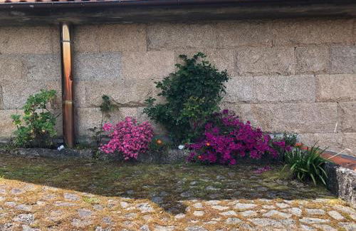 Gerês - Caniçada - Foto 42