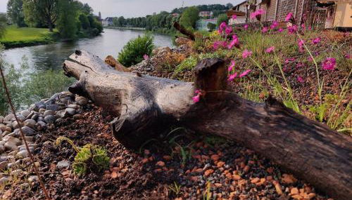 Danubio an der Donau - Donau-Resorium - Foto 4