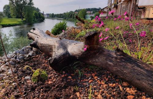 Danubio an der Donau - Donau-Resorium - Foto 4