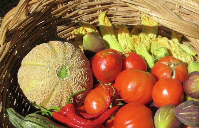 Cozy Cottage in Abbateggio With Garden - Foto 20