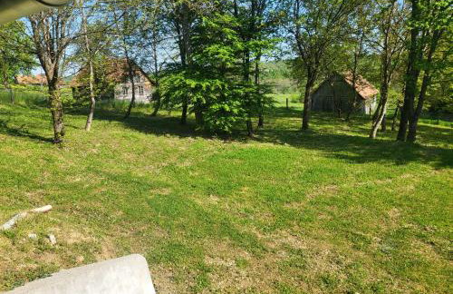 Šumski san - Foto 14