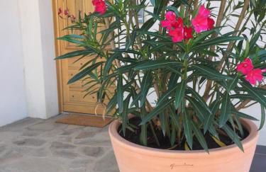 La Casa Soliam - Foto 23