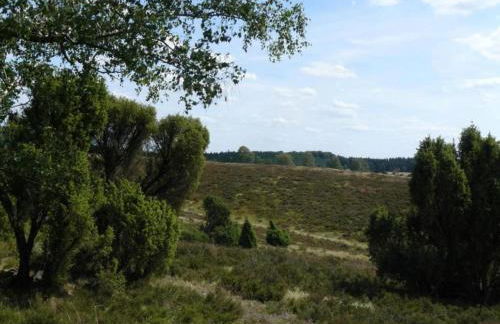 Ferienhaus in der Lüneburger Heide - Foto 22
