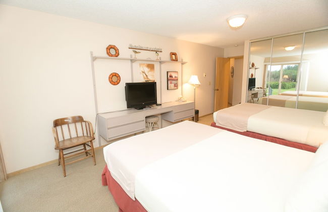 The Grey Gull - Foto 6