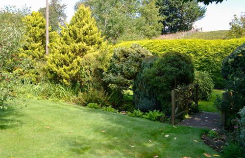 Hazelmere - Photo 23