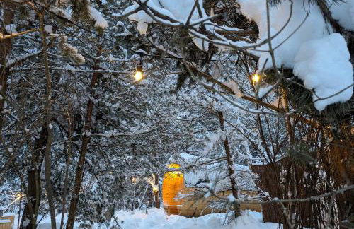 Forreset - leśny reset - Foto 78