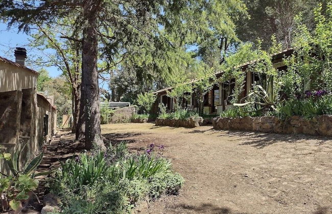 Agriturismo Bosco Pianetti - Foto 16