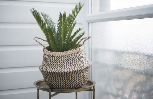 Marina Beach House - Photo 32