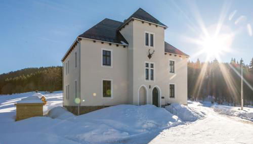 Ferienapartments Försterei Eibenstock - Foto 3