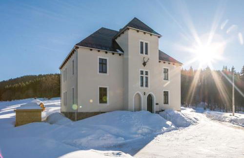 Ferienapartments Försterei Eibenstock - Foto 3