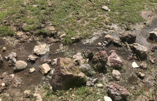 Grand Canyon 1bd Loft at Historic Wrigley Ranch-Suite with Horseback Riding, Hiking - Foto 24