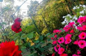 La Quercia e il Castagno Country & Relax - Foto 9