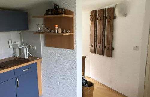 Monteur- und Mietwohnungen Eilenburg Nordsachsen - Foto 68