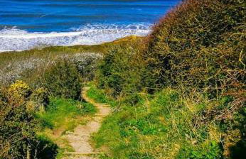 FourPar Lodge-Stunning lodge in a great location - Foto 26