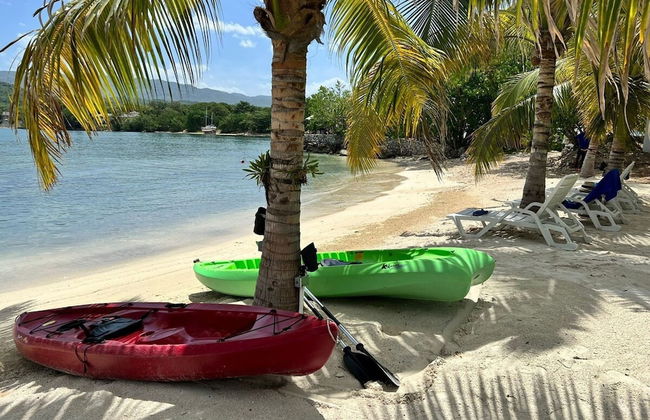 Santosha Whitehouse JM - 10 Bedroom Villa w Private Beach - Photo 39