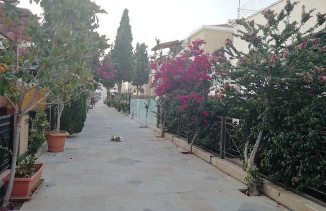 V.I.P. Galatex - Foto 42