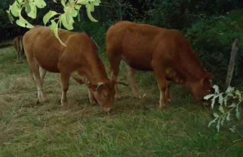Un coin de paradis avec une vue exceptionnelle pour 4 ou 5 personnes - Photo 12