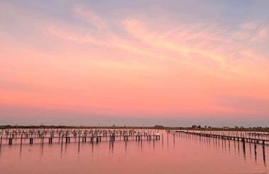 Ferienhaus Lines to Huus Strandnah nahe Heiligenhafen & Großenbrode - Foto 28