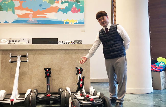 Pine Forest - Photo 3