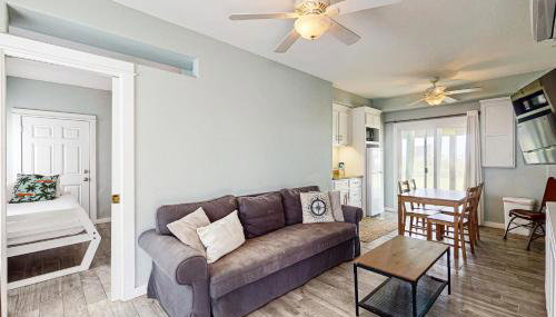 Lost Colony Lost Sea Turtle - Foto 3