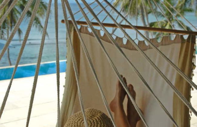 Taveuni Palms - Photo 22