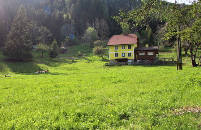 Krechen Alm - Foto 36