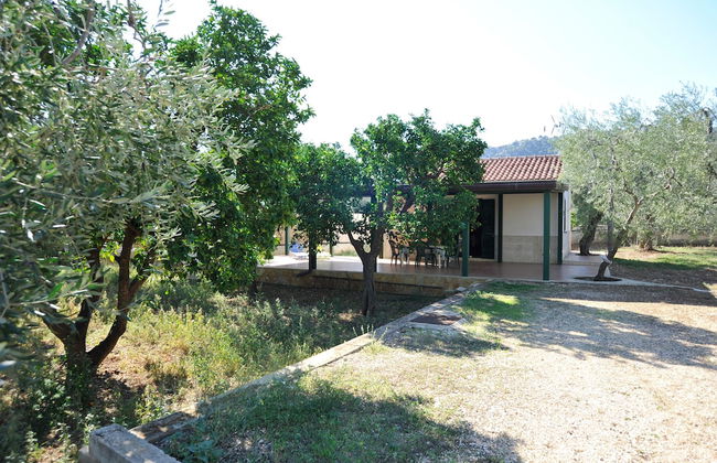 Case Vacanze L'Uliveto - Foto 35