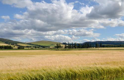 Myreside Cottage - Foto 17