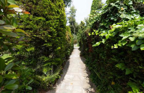 Sani Green Villa - Foto 21