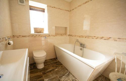 Pine Cones - Foto 16