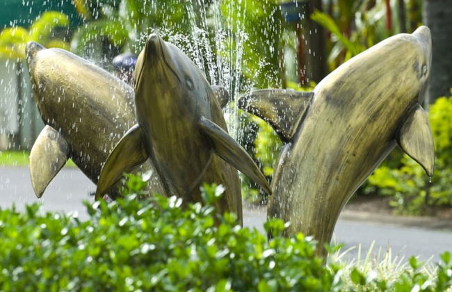 Cairns Coconut Holiday Resort - Foto 2