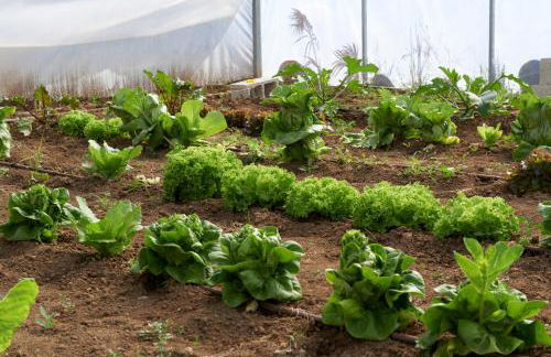 Masia Heredad La Boquilla - Foto 109