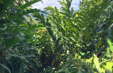 Casa com vista a praia da Barra do Sahy - Foto 36