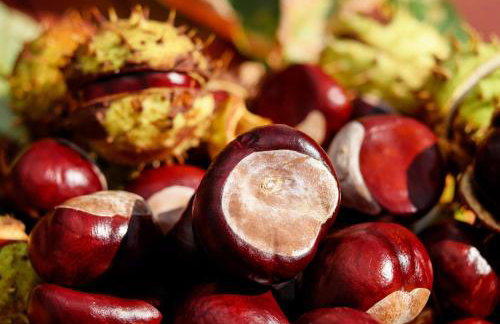 Studio apartman "DJED" - Foto 19