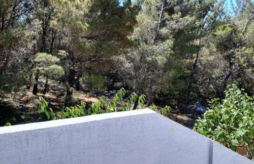 Apartmani Ivan - Foto 27