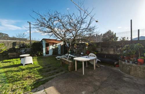 Agra Pet Studio I - Foto 19