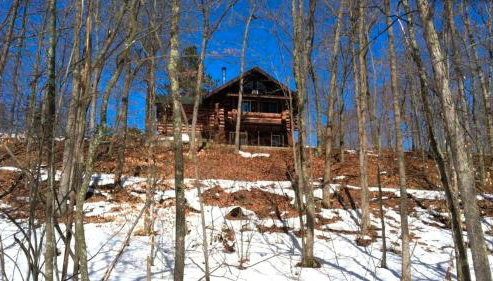 Custom-Built Family Cabin in Manistee National Forest, Michigan - Foto 2